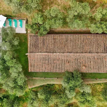 Villa Fico Calci